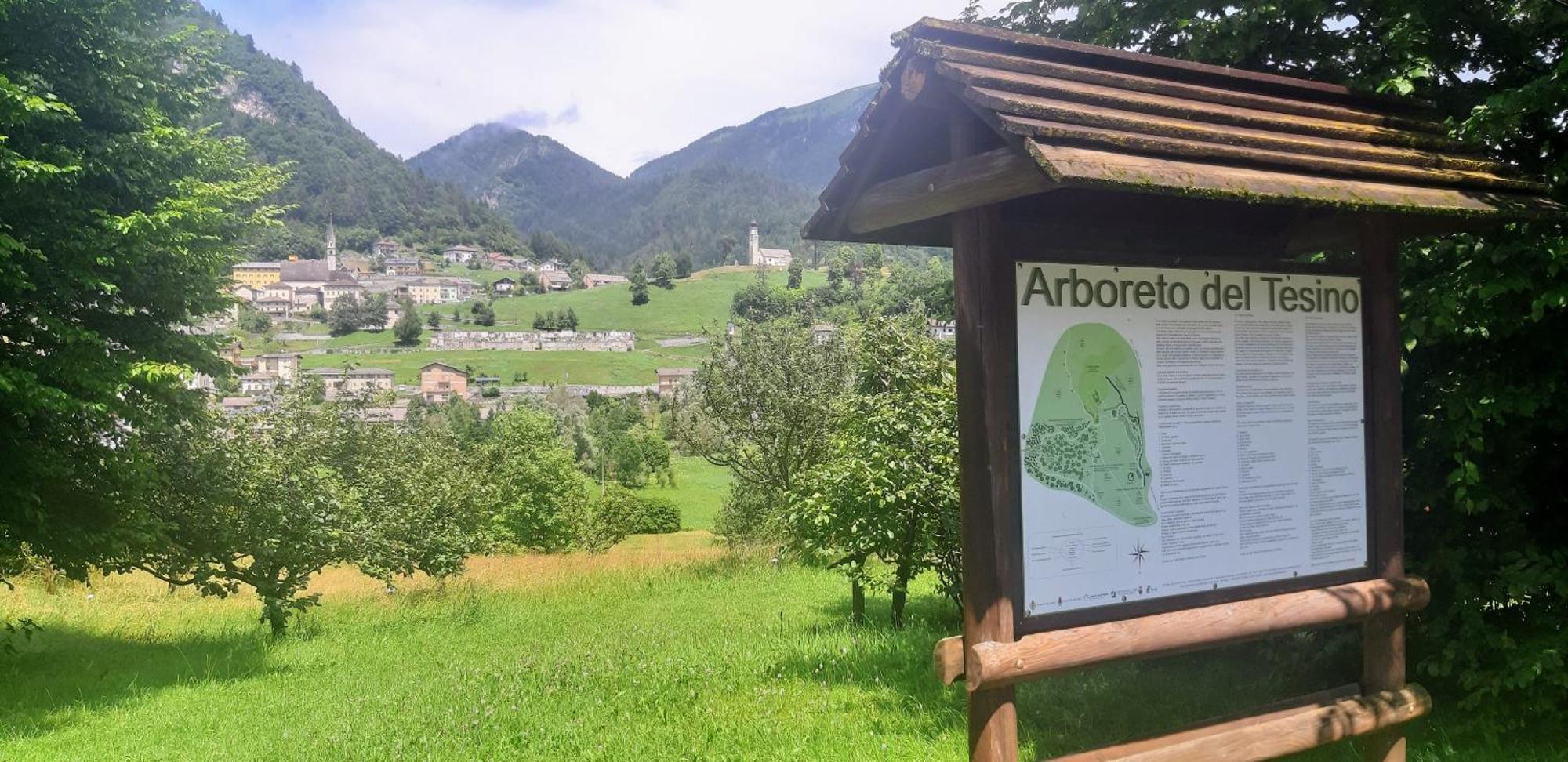 Albergo Chalet Abete Rosso Castello Tesino Buitenkant foto